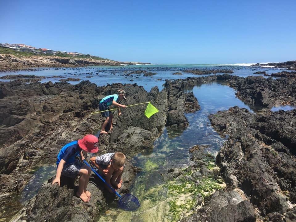 Ons C-Huis - Gansbaai Seafront Accommodation, Back-Up Power 外观 照片