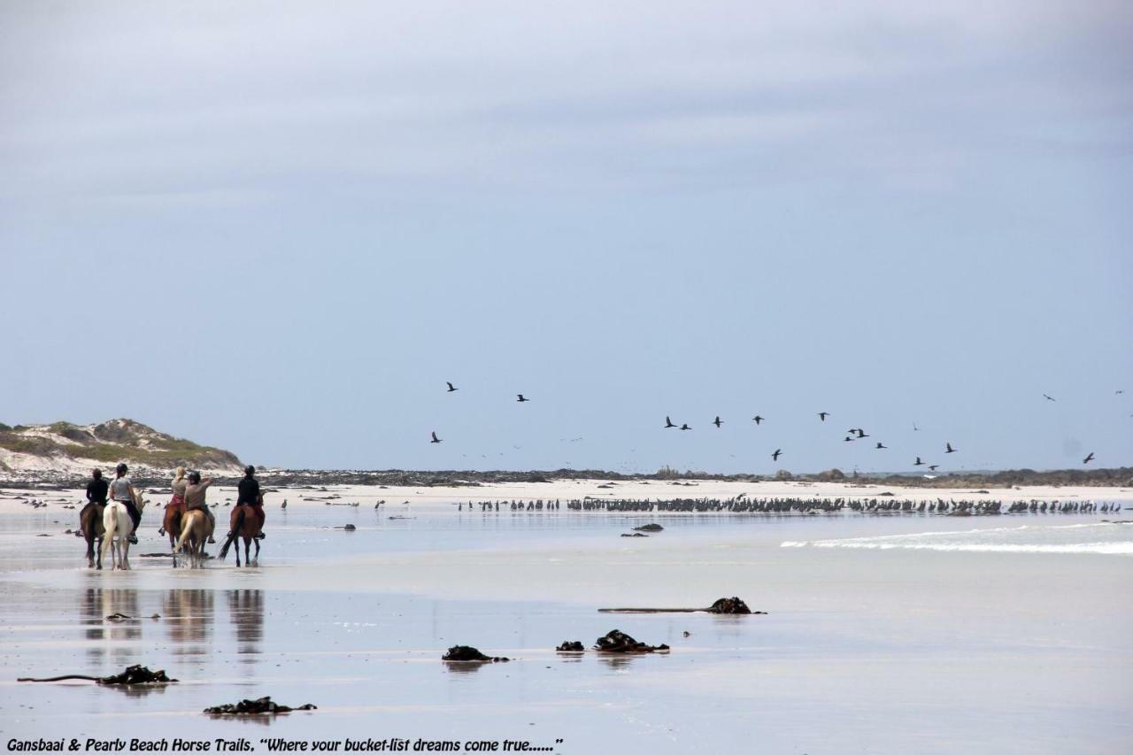 Ons C-Huis - Gansbaai Seafront Accommodation, Back-Up Power 外观 照片