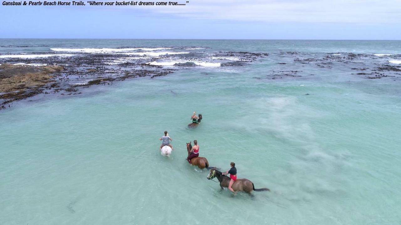 Ons C-Huis - Gansbaai Seafront Accommodation, Back-Up Power 外观 照片